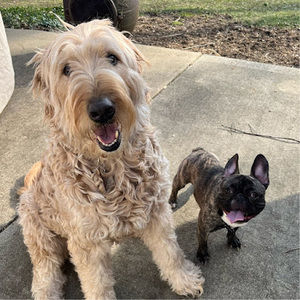 Meet your Posher, Brooke